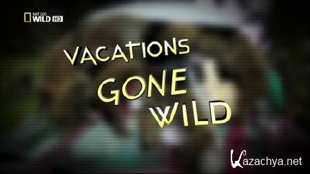   | Vacations Gone Wild (2012) HDTV