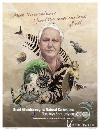 ����� ���������. ������� ���������� ���� (5 ����� �� 5) / David Attenborough's. Natural Curiosities (2012) SATRip (AVC)