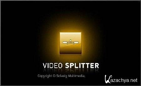SolveigMM Video Splitter Business Edition v.4.0.1401.28 Final