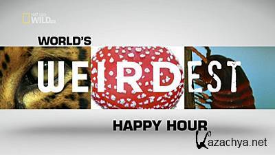    :   / World's Weirdest: Happy Hour (2013) HDTVRip