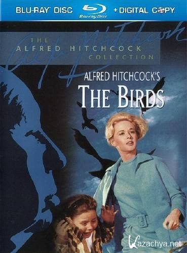  / The Birds (1963) BDRip 720p / HDRip