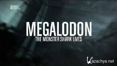 -:   / Megalodon: The Monster Shark (2013) HDTV 1080i