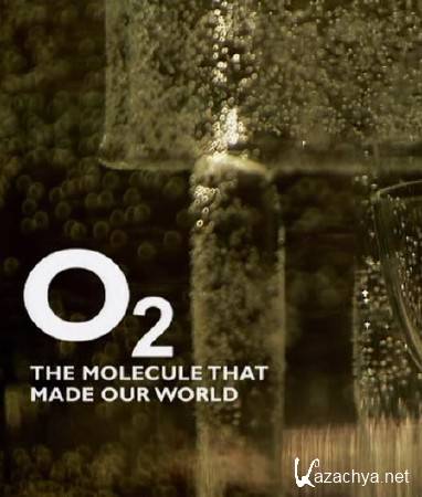 BBC. ,   / BBC. The Molecule that Made our World (2008) SATRip (AVC)