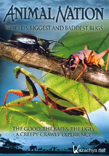        / Animal Planet. World's Biggest and Baddest Bugs (2004) BDRip [720p]