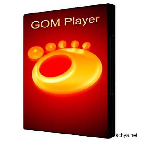 GomPlayer 2.1.47.5133 Ru 