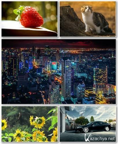 Best HD Wallpapers Pack 1182