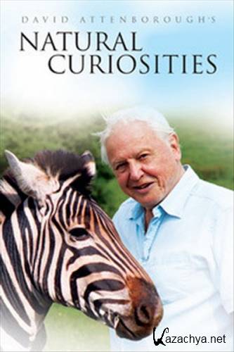  .    / David Attenborough's. Natural Curiosities (2012 / 5   5) SATRip