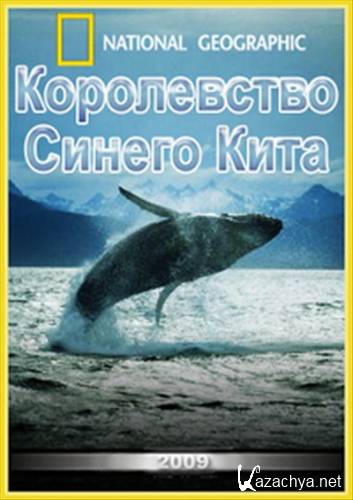 National Geographic. Мир природы. Королевство Синего Кита / National Geographic. Kingdom of the Blue Whale (2009) TVRip