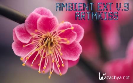 Ambient EXT v.9 (2014)