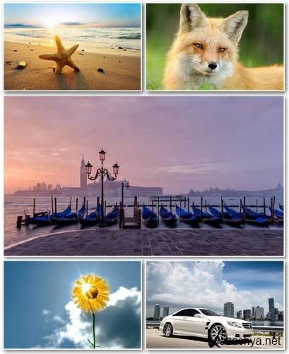 Best HD Wallpapers Pack 1185
