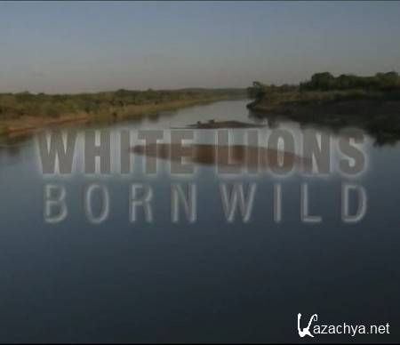    / White Lions - Born Wild (2012) DVB