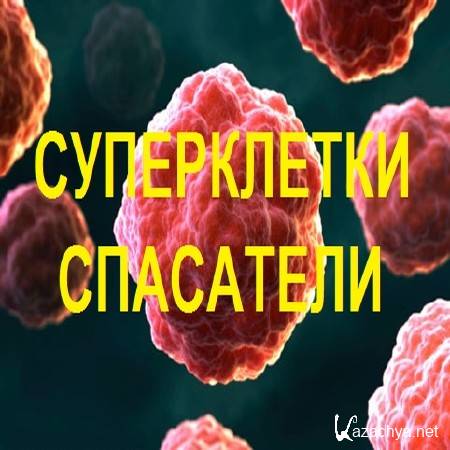 Discovery: Суперклетки - спасатели / Supercells. The Life Severs (2014) SATRip Discovery: Суперклетки - спасатели / Supercells. The Life Severs (2014) SATRip