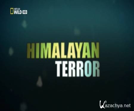 -:    / Monster fish: Himalayan Terror (2010) HDTVRip