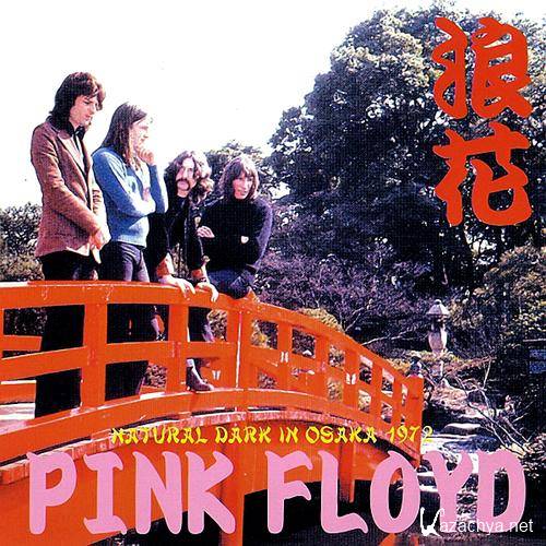 Pink Floyd - Naniwa: Natural Dark In Osaka (2005)  