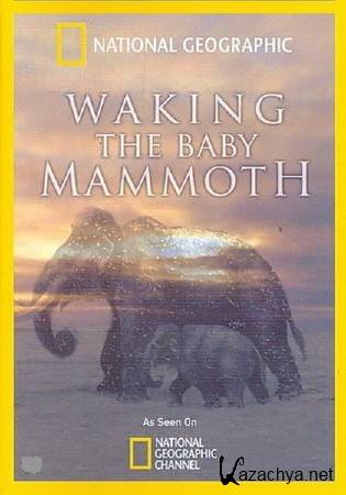 :    ( ) / Waking the Baby Mammoth (2009) HDTVRip (AVC)