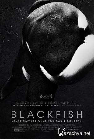   / Blackfish (2013) WEB-DL (720p)
