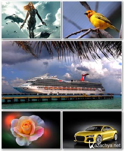 Best HD Wallpapers Pack 1198