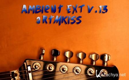 Ambient EXT v.13 (2014)