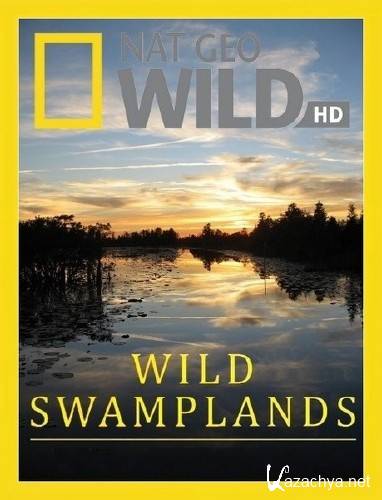 Дикие болота / Wild Swamplands (1 серия из 2-х) (2013) HDTVRip