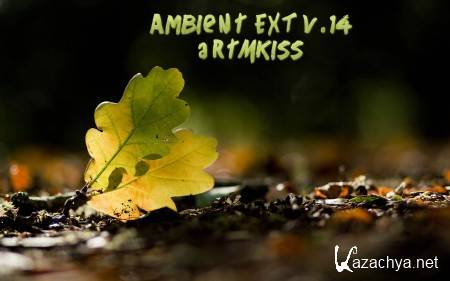 Ambient EXT v.14 (2014)