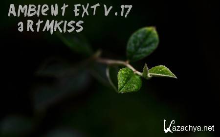 Ambient EXT v.17 (2014)