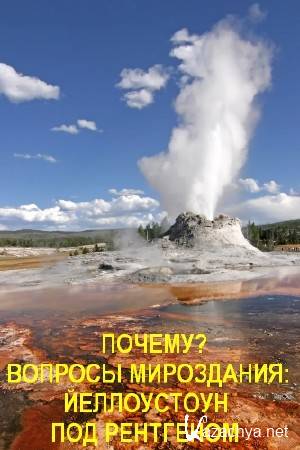 ?  :    / Curiosity. X-Ray Yellowstone (2014) SATRip