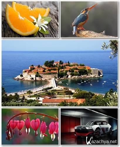 Best HD Wallpapers Pack 1206