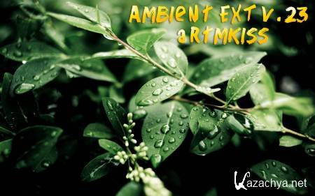 Ambient EXT v.23 (2014)