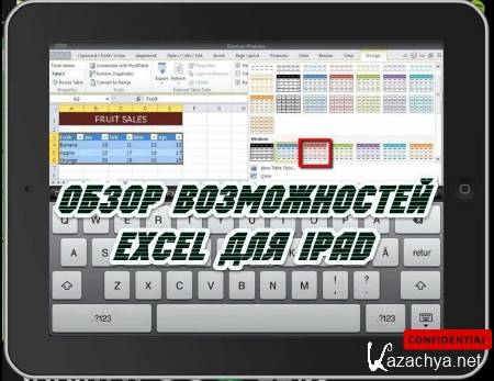   Excel  iPad (2014)