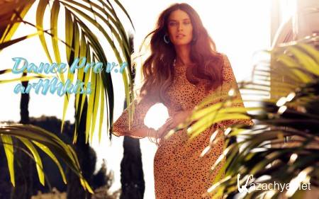 Dance Pro v.1 (2014)