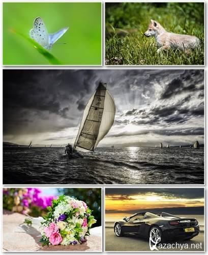 Best HD Wallpapers Pack 1219