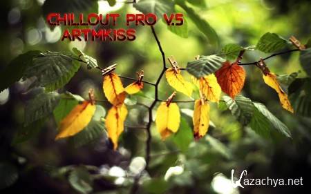 Chillout Pro v.5 (2014)