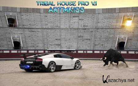 Tribal House Pro v.1 (2014)