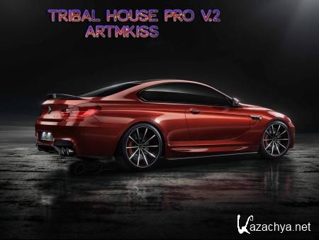 Tribal House Pro v.2 (2014)