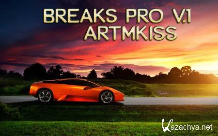 Breaks Pro v.1 (2014)