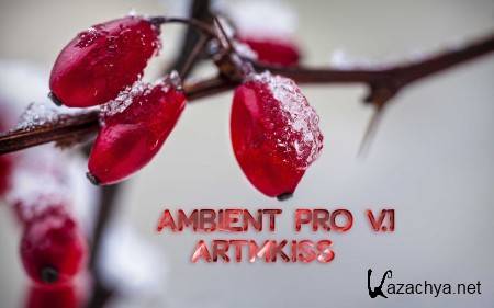 Ambient Pro v.1 (2014)