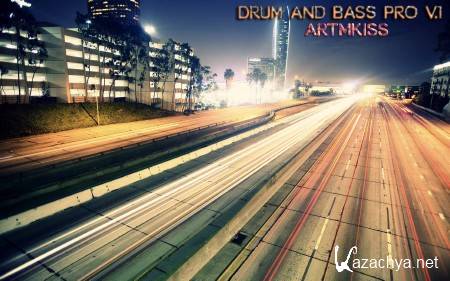 Drum and Bass Pro v.1 (2014)