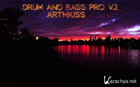 Drum and Bass Pro v.2 (2014)