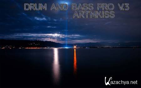 Drum and Bass Pro v.3 (2014)
