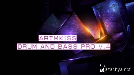 Drum and Bass Pro v.4 (2014)