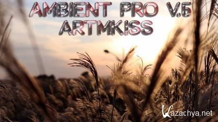 Ambient Pro v.6 (2014)