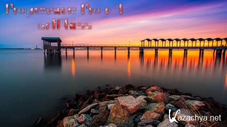 Progressive Pro v.9 (2014)