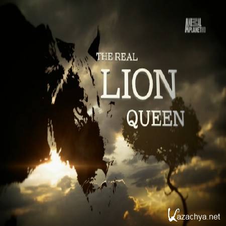 Королева-львица / The Real Lion Queen (2013) HDTV 1080i Королева-львица / The Real Lion Queen (2013) HDTV 1080i