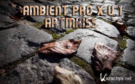 Ambient Pro X v.1 (2014)