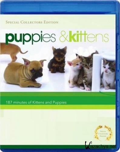 ����� � ������ / Puppies & Kittens (2009) BDRip