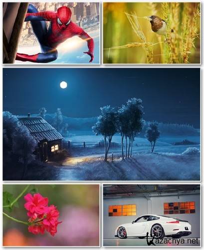 Best HD Wallpapers Pack 1238