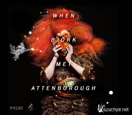     / When Bjork Met Attenborough (2013) WEB-DL (1080p)