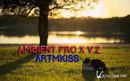 Ambient Pro X v.2 (2014)