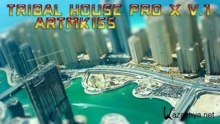 Tribal House Pro X v.1 (2014)