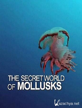    / The Secret World Of Mollusks (2013) SATRip